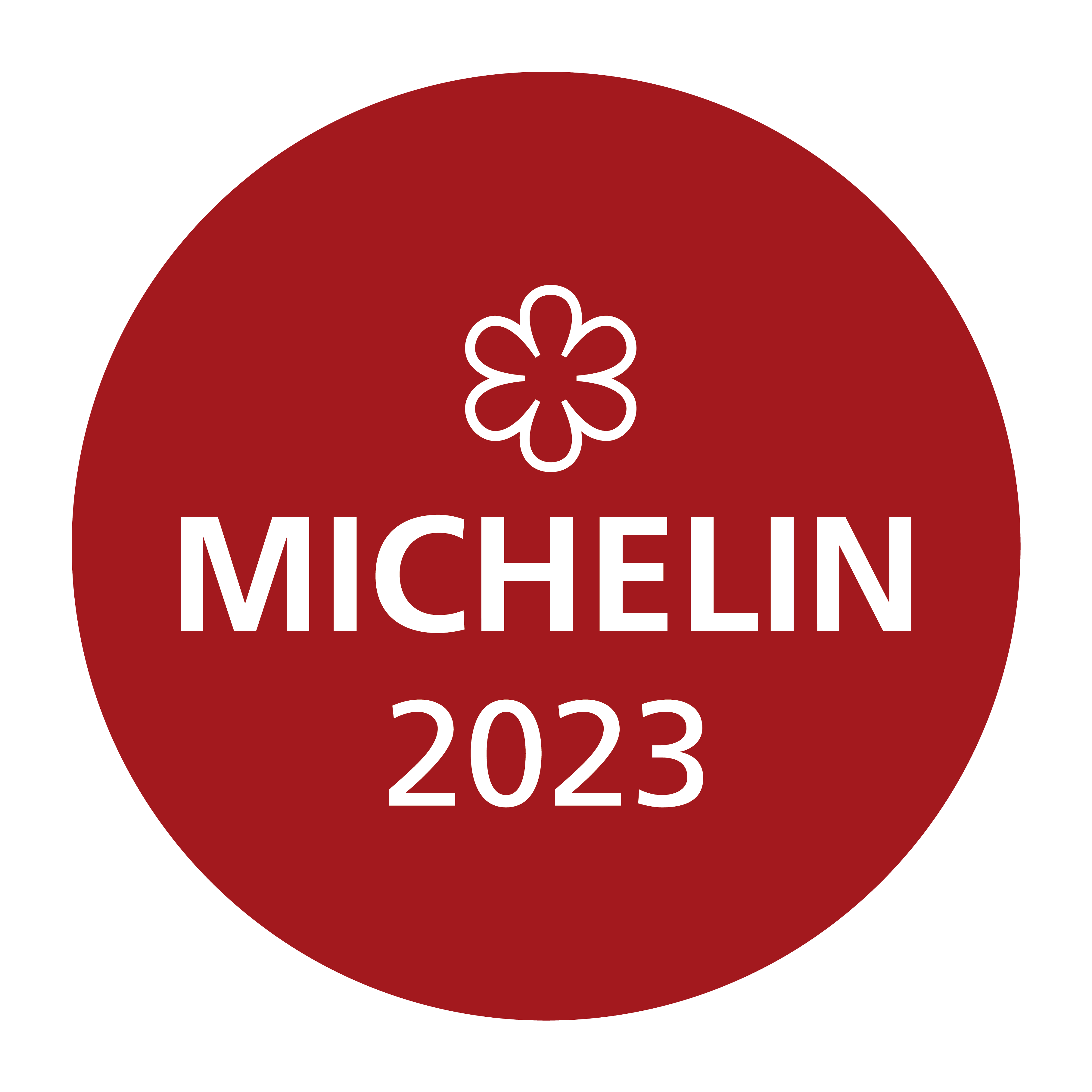 Michelin Siegel 2023